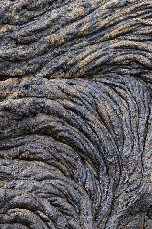 Picture of RECENT PAHOEHOE LAVA FLOW-SULLIVAN BAY-SANTIAGO ISLAND-GALAPAGOS ISLANDS-ECUADOR