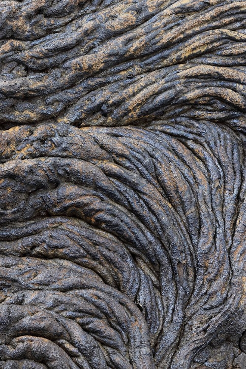 Picture of RECENT PAHOEHOE LAVA FLOW-SULLIVAN BAY-SANTIAGO ISLAND-GALAPAGOS ISLANDS-ECUADOR