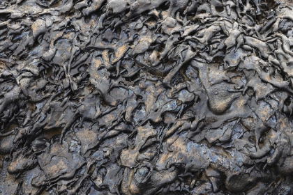 Picture of RECENT PAHOEHOE LAVA FLOW-SULLIVAN BAY-SANTIAGO ISLAND-GALAPAGOS ISLANDS-ECUADOR