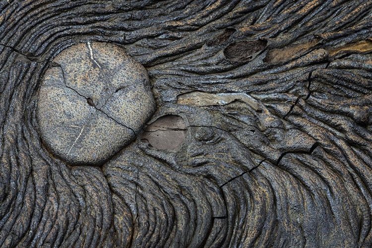 Picture of RECENT PAHOEHOE LAVA FLOW-SULLIVAN BAY-SANTIAGO ISLAND-GALAPAGOS ISLANDS-ECUADOR