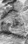 Picture of RECENT PAHOEHOE LAVA FLOW-SULLIVAN BAY-SANTIAGO ISLAND-GALAPAGOS ISLANDS-ECUADOR