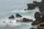 Picture of ROCKY SHORELINE OF SOUTH PLAZA ISLAND-GALAPAGOS ISLANDS-ECUADOR