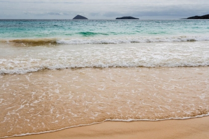 Picture of FLOREANA ISLAND-GALAPAGOS ISLANDS-ECUADOR