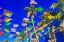 Picture of COLORFUL MEXICAN CHRISTMAS PAPER DECORATIONS-SAN JOSE DEL CABO-MEXICO