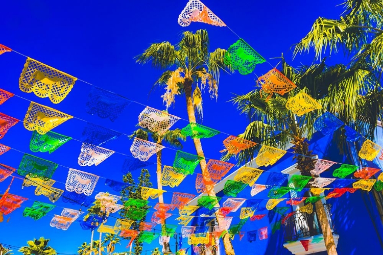 Picture of COLORFUL MEXICAN CHRISTMAS PAPER DECORATIONS-SAN JOSE DEL CABO-MEXICO