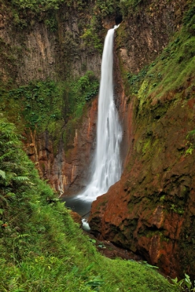 Picture of CATARATA DEL TORO WATERFALL-IN THE MOUNTAINS OF BAJOS DEL TORO AMARILLO-SARCHI-COSTA RICA