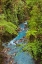 Picture of SMALL STREAM OR CREEK-COSTA RICA