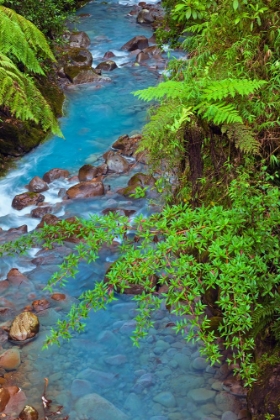 Picture of SMALL STREAM OR CREEK-COSTA RICA