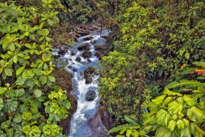Picture of SMALL STREAM OR CREEK-COSTA RICA