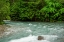Picture of COSTA RICA BLUE RIVER