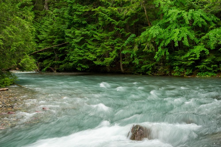 Picture of COSTA RICA BLUE RIVER