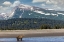 Picture of GRIZZLY BEAR IN LANDSCAPE WITH MOUNTAIN-LAKE CLARK NATIONAL PARK AND PRESERVE-ALASKA