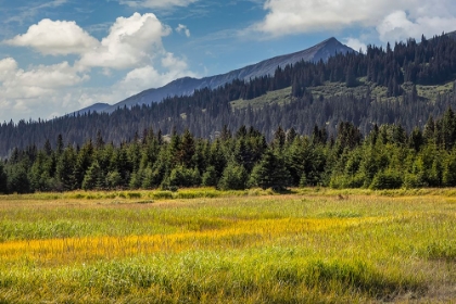 Picture of MEADOW AND MOUNTAINS AT SILVER SALMON CREEK-LAKE CLARK NATIONAL PARK AND PRESERVE-ALASKA
