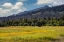 Picture of MEADOW AND MOUNTAINS AT SILVER SALMON CREEK-LAKE CLARK NATIONAL PARK AND PRESERVE-ALASKA