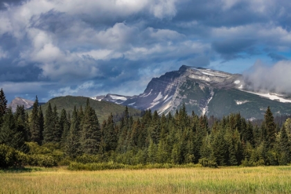 Picture of MEADOW AND MOUNTAINS AT SILVER SALMON CREEK-LAKE CLARK NATIONAL PARK AND PRESERVE-ALASKA