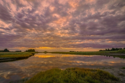 Picture of SUNRISE ON SLOUGH OF SILVER SALMON CREEK-LAKE CLARK NATIONAL PARK AND PRESERVE-ALASKA