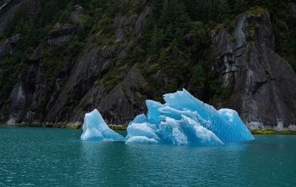 Picture of USA-ALASKA THIS PERFECT ICEBERG FLOATS IN THE BLUE WATERS OF ENDICOTT ARM