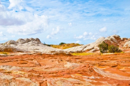 Picture of USA-ARIZONA-VERMILION CLIFFS NATIONAL MONUMENT WHITE POCKET