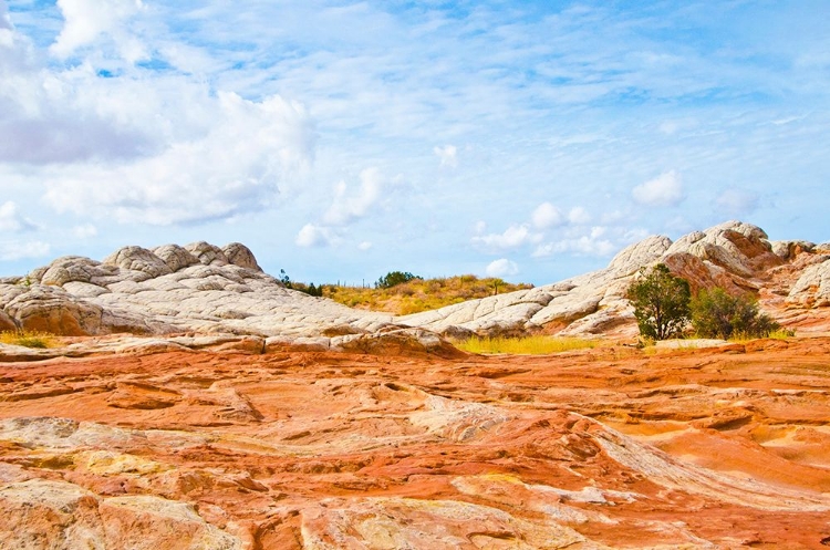 Picture of USA-ARIZONA-VERMILION CLIFFS NATIONAL MONUMENT WHITE POCKET