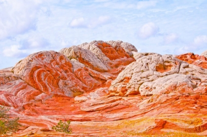 Picture of USA-ARIZONA-VERMILION CLIFFS NATIONAL MONUMENT WHITE POCKET