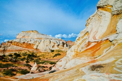 Picture of USA-ARIZONA-VERMILION CLIFFS NATIONAL MONUMENT WHITE POCKET