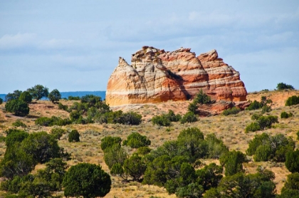 Picture of USA-ARIZONA-VERMILION CLIFFS NATIONAL MONUMENT WHITE POCKET