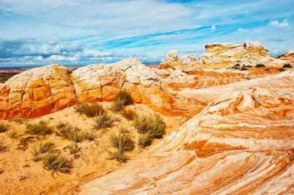 Picture of USA-ARIZONA-VERMILION CLIFFS NATIONAL MONUMENT WHITE POCKET