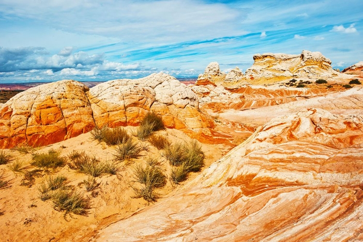 Picture of USA-ARIZONA-VERMILION CLIFFS NATIONAL MONUMENT WHITE POCKET