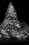 Picture of USA-ARIZONA-BUCKEYE-BLACK AND WHITE ABSTRACT MOTION OF CHRISTMAS TREE AT NIGHT