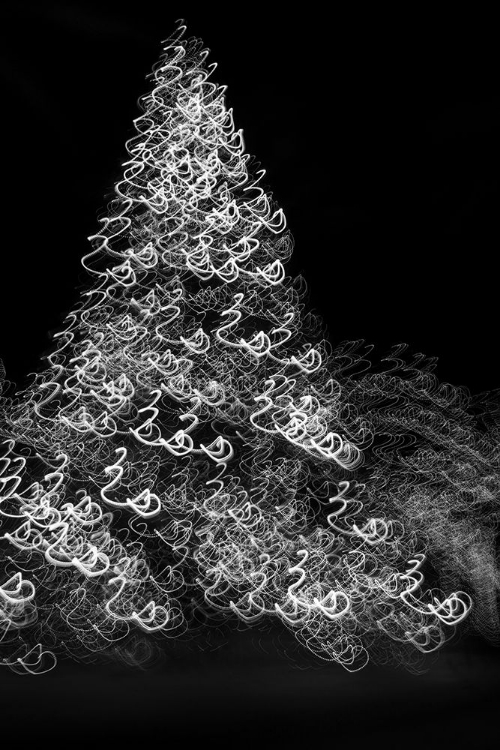 Picture of USA-ARIZONA-BUCKEYE-BLACK AND WHITE ABSTRACT MOTION OF CHRISTMAS TREE AT NIGHT