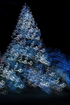 Picture of USA-ARIZONA-BUCKEYE-ABSTRACT MOTION OF CHRISTMAS TREE AT NIGHT