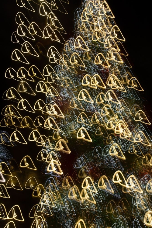 Picture of USA-ARIZONA-BUCKEYE-ABSTRACT MOTION OF CHRISTMAS TREE AT NIGHT