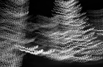 Picture of USA-ARIZONA-BUCKEYE-BLACK AND WHITE ABSTRACT MOTION OF CHRISTMAS TREE AT NIGHT