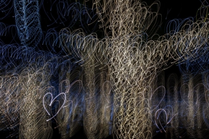 Picture of USA-ARIZONA-BUCKEYE-ABSTRACT OF DECORATED TREES AT NIGHT DURING CHRISTMAS