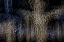 Picture of USA-ARIZONA-BUCKEYE-ABSTRACT OF DECORATED TREES AT NIGHT DURING CHRISTMAS