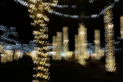 Picture of USA-ARIZONA-BUCKEYE-ABSTRACT OF DECORATED TREES AT NIGHT DURING CHRISTMAS