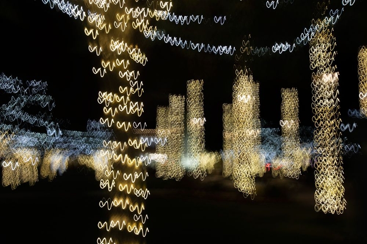 Picture of USA-ARIZONA-BUCKEYE-ABSTRACT OF DECORATED TREES AT NIGHT DURING CHRISTMAS