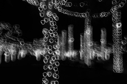 Picture of USA-ARIZONA-BUCKEYE-BLACK AND WHITE ABSTRACT OF DECORATED TREES AT NIGHT DURING CHRISTMAS