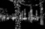 Picture of USA-ARIZONA-BUCKEYE-BLACK AND WHITE ABSTRACT OF DECORATED TREES AT NIGHT DURING CHRISTMAS