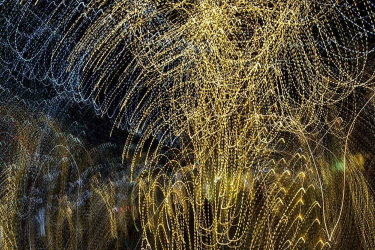 Picture of USA-ARIZONA-BUCKEYE-ABSTRACT OF DECORATED TREES AT NIGHT DURING CHRISTMAS