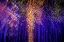 Picture of USA-ARIZONA-BUCKEYE-ABSTRACT OF MULTICOLORED CHRISTMAS LIGHTS