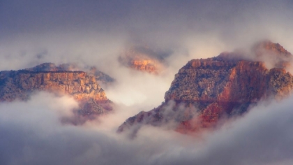 Picture of USA-ARIZONA-GRAND CANYON-FOGGY SUNRISE ON CANYON