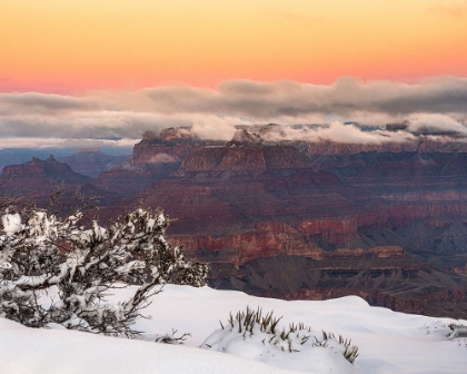 Picture of USA-ARIZONA-GRAND CANYON-WINTER SUNRISE ON CANYON