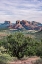 Picture of ARIZONA-SEDONA CATHEDRAL ROCK