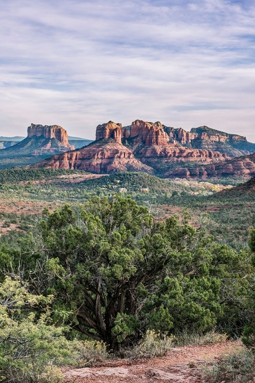 Picture of ARIZONA-SEDONA CATHEDRAL ROCK