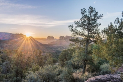 Picture of ARIZONA-SEDONA CATHEDRAL ROCK AT SUNRISE