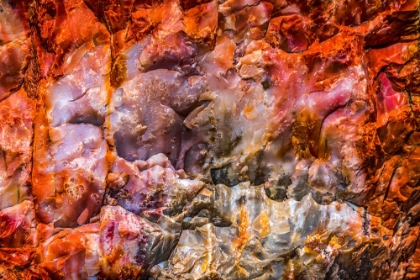 Picture of RED-ORANGE AND YELLOW PETRIFIED WOOD ABSTRACT-BLUE MESA-PETRIFIED FOREST NATIONAL PARK-ARIZONA