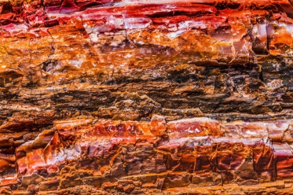 Picture of RED-ORANGE AND YELLOW PETRIFIED WOOD ABSTRACT-BLUE MESA-PETRIFIED FOREST NATIONAL PARK-ARIZONA