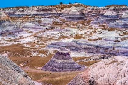 Picture of HIKERS TRAIL-BLUE MESA-PAINTED DESERT-PETRIFIED FOREST NATIONAL PARK-ARIZONA