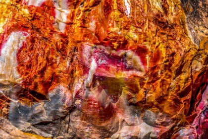 Picture of RED-ORANGE AND YELLOW PETRIFIED WOOD ABSTRACT-BLUE MESA-PETRIFIED FOREST NATIONAL PARK-ARIZONA